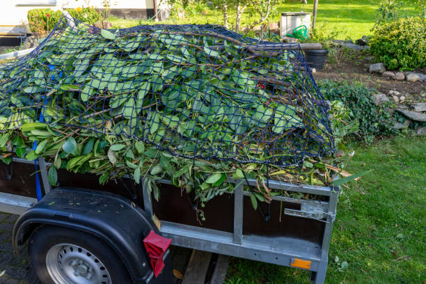 Best Shed Removal  in Winfield, TN